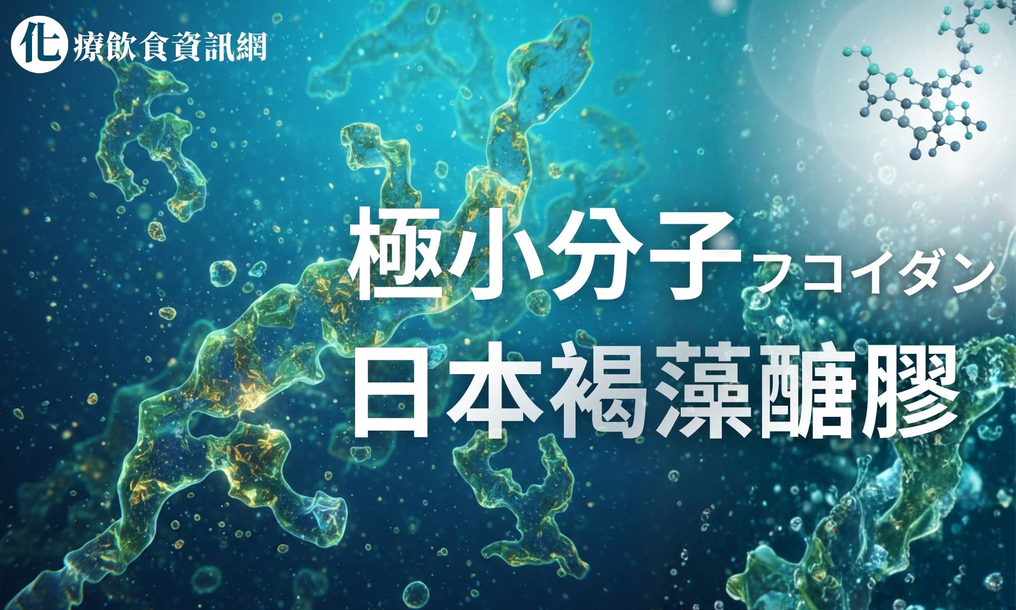 極小分子量0.5kDa日本褐藻醣膠