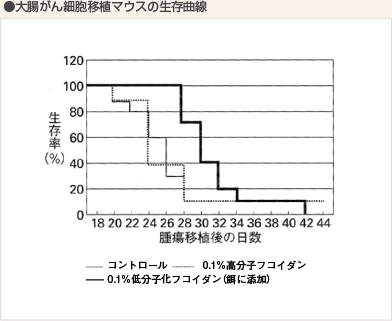 九州大學研究：0.5kDa小分子褐藻醣膠與大分子生存日數對照圖(小分子褐藻醣膠九州大學實驗結果優於大分子褐藻醣膠)