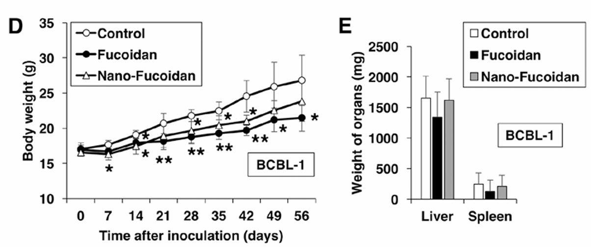 褐藻醣膠大分子更有效—天然大分子褐藻醣膠抗癌效果優於奈米小分子