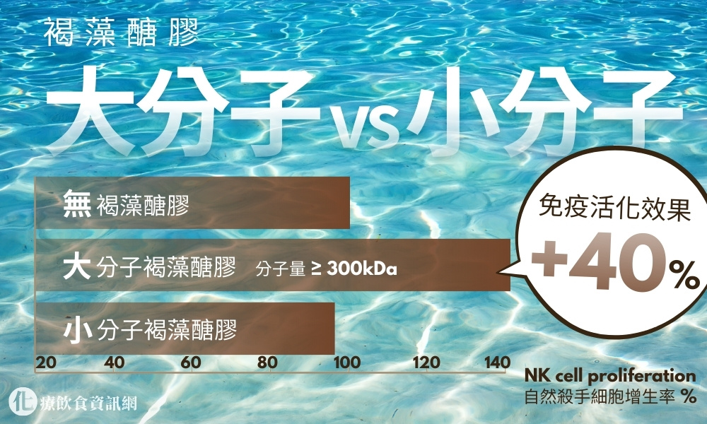 褐藻醣膠小分子和大分子效果比較研究數據