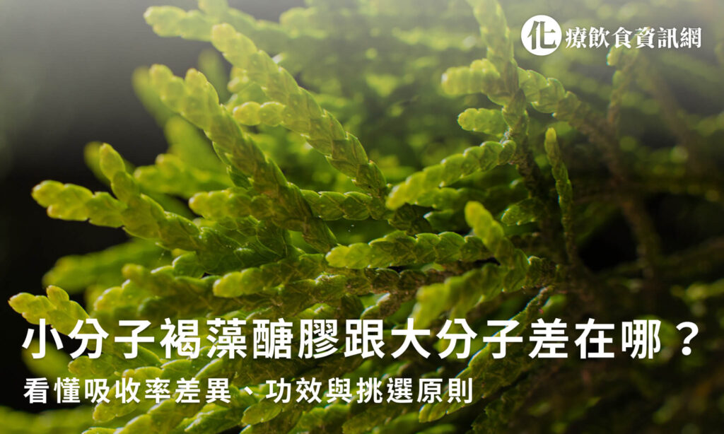乳癌術後營養品推薦：飲食禁忌、傷口癒合與化療準備 3 階段補給全攻略