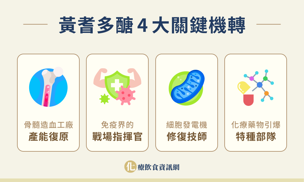 黃耆多醣 4 大關鍵機轉